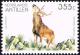 Colnect-2205-895-White-tailed-Deer-Odocoileus-virginianus.jpg