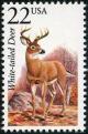 Colnect-5026-787-White-tailed-Deer-Odocoileus-virginianus.jpg