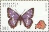 Colnect-1047-724-Purple-Emperor-Apatura-iris.jpg