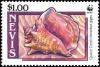 Colnect-1646-435-Queen-Conch-Eustrombus-gigas-from-rear.jpg