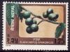Colnect-1873-913-Fruits---Elaeocarpus-sphaericus.jpg