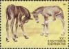 Colnect-196-796-Horses-Equus-ferus-caballus.jpg