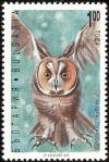 Colnect-1976-623-Long-eared-Owl-Asio-otus.jpg