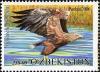 Colnect-2431-247-White-tailed-Eagle-Haliaeetus-albicilla.jpg