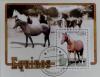 Colnect-3361-979-Horse-Equus-ferus-caballus.jpg