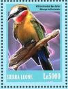 Colnect-3561-510-White-fronted-Bee-eater%C2%A0%C2%A0%C2%A0%C2%A0Merops-bullockoides.jpg