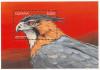 Colnect-4633-421-Ornate-Hawk-Eagle----Spizaetus-ornatus.jpg