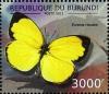 Colnect-4740-081-Eurema-hecabe.jpg