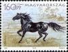Colnect-497-455-Nonius-Equus-ferus-caballus.jpg