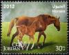 Colnect-5336-962-Horse-Equus-ferus-caballus.jpg