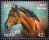 Colnect-5336-963-Horse-Equus-ferus-caballus.jpg