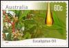 Colnect-6267-244-Eucalyptus-Oil.jpg