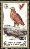 Colnect-859-492-White-tailed-Eagle-Haliaeetus-albicilla.jpg
