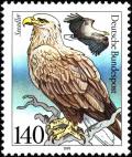 Colnect-5381-858-White-tailed-Eagle-Haliaeetus-albicilla.jpg