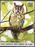 Colnect-5978-175-Long-eared-Owl-Asio-otus.jpg