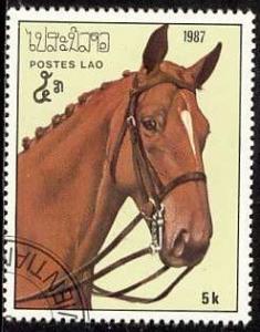 Colnect-1014-736-Horse-Equus-ferus-caballus.jpg