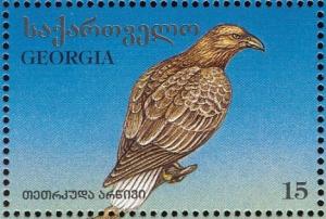 Colnect-1104-841-White-tailed-Eagle-Haliaeetus-albicilla.jpg