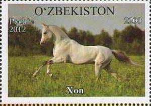 Colnect-1308-517--Xon--Equus-ferus-caballus.jpg