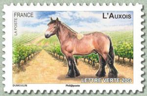 Colnect-1527-781-Auxois-Equus-ferus-caballus.jpg