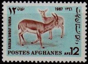 Colnect-1772-703-Persian-Gazelle-Gazella-subgutturosa.jpg