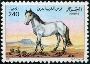 Colnect-1917-423-Horses-Equus-ferus-caballus.jpg