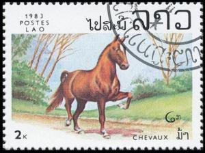 Colnect-3005-751-Horse-Equus-ferus-caballus.jpg