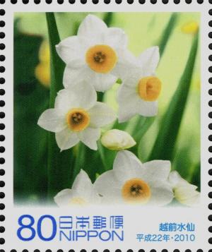Colnect-4129-331-Cape-Echizen-s-Narcissus.jpg