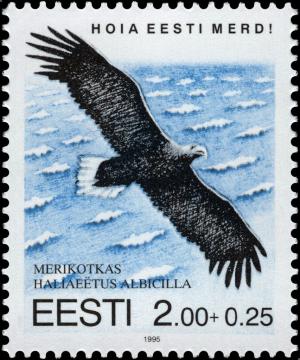 Colnect-4817-952-White-tailed-Eagle-Haliaeetus-albicilla.jpg