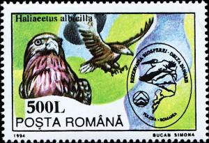 Colnect-4931-143-White-tailed-Eagle-Haliaeetus-albicilla.jpg