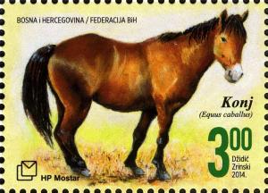 Colnect-5091-036-Horse-Equus-ferus-caballus.jpg