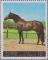 Colnect-1430-812-Horse-Equus-ferus-caballus.jpg