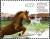 Colnect-1457-490-Horses-Equus-ferus-caballus.jpg