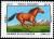 Colnect-3429-240-Horse-Equus-ferus-caballus.jpg