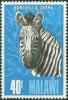 Colnect-1732-894-Burchell%E2%80%99s-Zebra-Equus-quagga-burchellii.jpg