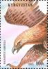 Colnect-2626-180-White-tailed-Eagle-Haliaeetus-albicilla.jpg