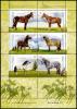 Colnect-3113-667-Horses-Equus-ferus-caballus.jpg
