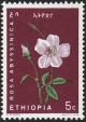 Colnect-2765-259-Ethiopian-rose.jpg