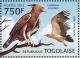 Colnect-3585-606-Long-crested-Eagle-Lophaetus-occipitalis.jpg