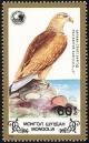 Colnect-859-491-White-tailed-Eagle-Haliaeetus-albicilla.jpg