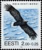 Colnect-4817-952-White-tailed-Eagle-Haliaeetus-albicilla.jpg