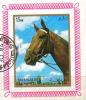 Colnect-5624-991-Horse-Equus-ferus-caballus.jpg