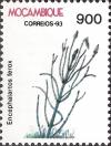 Colnect-1119-752-Fossil-Plants.jpg