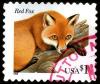Colnect-1487-276-Red-Fox-Vulpes-vulpes.jpg