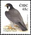 Colnect-1902-352-Peregrine-Falcon-Falco-peregrinus.jpg