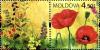 Colnect-2618-102-Wild-Flowers-of-Moldova.jpg