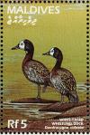 Colnect-4201-288-White-faced-whistling-duck.jpg