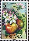 Colnect-438-182-Flora-Apples.jpg