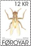 Colnect-4675-841-Golden-Dung-Fly-Scatophaga-stercoraria.jpg