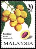 Colnect-1052-712-Rare-Fruits-of-Malaysia.jpg