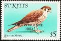 Colnect-1659-357-American-Kestrel-Falco-sparverius---overprinted.jpg